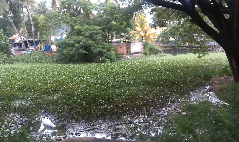 Parvathy-Puthanar-Trivandrum-768x459